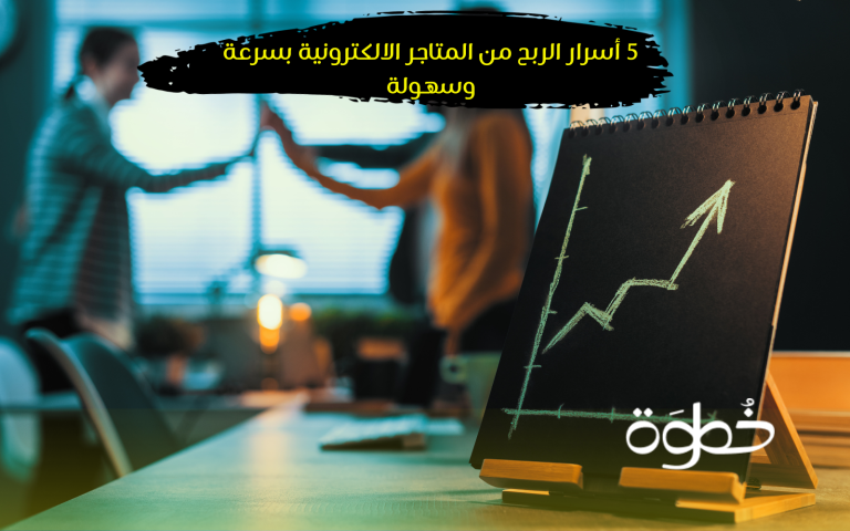 الربح من المتاجر الالكترونية